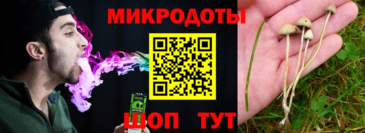 Псилоцибиновые грибы Psilocybe Саки